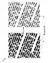 Fig. 06 - Local scale, rotation and position invariant word detection for optical character recognition