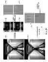 Fig. 30 - Compressive sensing with local geometric features