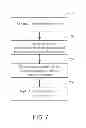Fig. 09 - Image correction method using approximately non-linear regression approach and related image correction circuit