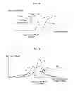 Fig. 08 - Optical semiconductor element, method of controlling the same and method of manufacturing the same
