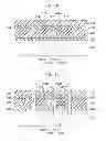 Fig. 22 - Optical semiconductor element, method of controlling the same and method of manufacturing the same