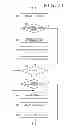 Fig. 20 - Information processing apparatus and information processing method