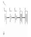 Fig. 08 - System for testing passive optical lines