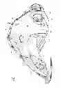 Fig. 04 - Underwater personal submersible