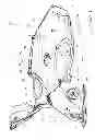 Fig. 05 - Underwater personal submersible