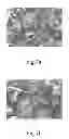 Fig. 09 - ONE-DIMENSIONAL TITANIUM NANOSTRUCTURE AND METHOD FOR FABRICATING THE SAME