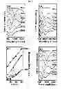 Fig. 04 - Method of generating a metamaterial, and a metamaterial generated thereof
