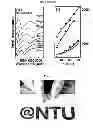 Fig. 05 - Method of generating a metamaterial, and a metamaterial generated thereof