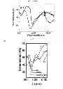 Fig. 06 - Method of generating a metamaterial, and a metamaterial generated thereof