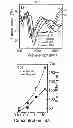 Fig. 08 - Method of generating a metamaterial, and a metamaterial generated thereof
