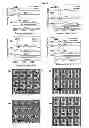 Fig. 12 - Method of generating a metamaterial, and a metamaterial generated thereof