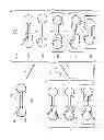 Fig. 04 - Apparatus for loading molecules onto substrates