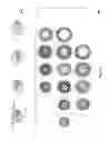 Fig. 22 - Apparatus for loading molecules onto substrates