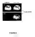 Fig. 13 - Compositions and methods for multimodal imaging
