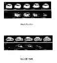 Fig. 17 - Compositions and methods for multimodal imaging