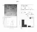 Fig. 02 - Multifunctional infrared-emitting composites