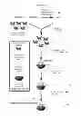 Fig. 03 - Multifunctional infrared-emitting composites