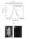 Fig. 05 - Multifunctional infrared-emitting composites