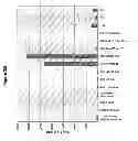 Fig. 06 - Therapeutic and diagnostic target