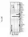 Fig. 07 - Therapeutic and diagnostic target