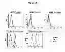 Fig. 09 - Therapeutic and diagnostic target