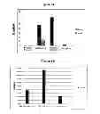 Fig. 12 - Therapeutic and diagnostic target