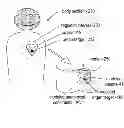 Fig. 01 - IMAGING PROTOCOLS