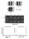 Fig. 122 - IMAGING PROTOCOLS