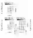 Fig. 126 - IMAGING PROTOCOLS