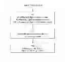 Fig. 19 - IMAGING PROTOCOLS
