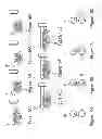 Fig. 20 - IMAGING PROTOCOLS