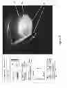 Fig. 50 - IMAGING PROTOCOLS