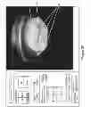 Fig. 51 - IMAGING PROTOCOLS