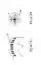 Fig. 56 - IMAGING PROTOCOLS