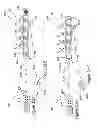 Fig. 60 - IMAGING PROTOCOLS
