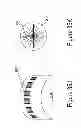 Fig. 62 - IMAGING PROTOCOLS