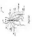 Fig. 64 - IMAGING PROTOCOLS