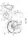 Fig. 84 - IMAGING PROTOCOLS