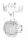 Fig. 88 - IMAGING PROTOCOLS