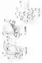 Fig. 91 - IMAGING PROTOCOLS