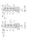 Fig. 95 - IMAGING PROTOCOLS