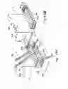Fig. 96 - IMAGING PROTOCOLS