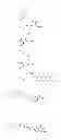 Fig. 03 - F-saccharide-folates