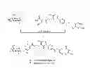 Fig. 04 - F-saccharide-folates