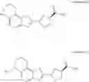 Fig. 10 - Luciferin amides