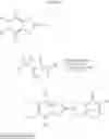 Fig. 14 - Luciferin amides