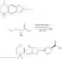 Fig. 19 - Luciferin amides