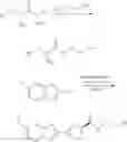 Fig. 26 - Luciferin amides