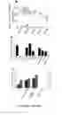 Fig. 30 - HUMAN INDUCED NEURONAL CELLS