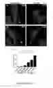 Fig. 49 - HUMAN INDUCED NEURONAL CELLS